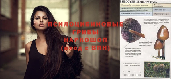 ешки Верхний Тагил