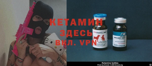 молекула духа Бородино