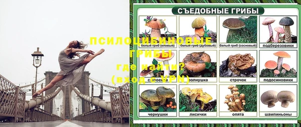 молекула духа Бородино