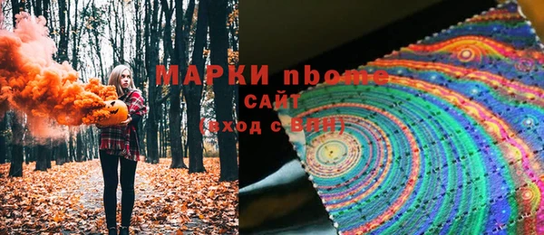 молекула духа Бородино