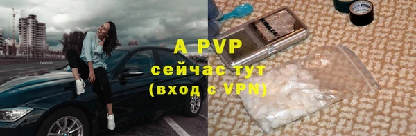гашик Билибино