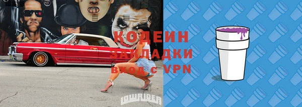 молекула духа Бородино